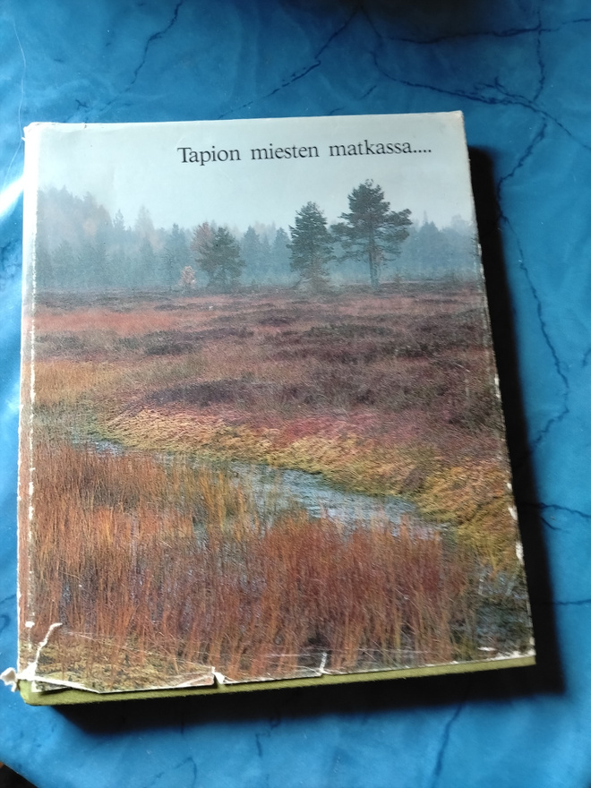 tapion miesten matkassa