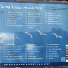 SOTAVETERAANIKUOROT LAULAVAT-SAMA KAIKU ON ASKELTEN-2CD - pikkukuva 2