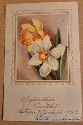 kukkia, narsissi, pääsiäiskortti,kulkenut käsipostissa 1952