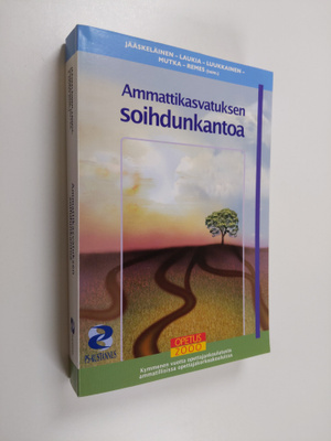 Ammattikasvatuksen soihdunkantoa : kymmenen vuotta opetta...