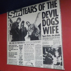THE DEVIL DOGS - BIG BEEF BONANZA! M-/M- LP GER -90  PRESS - pikkukuva 2