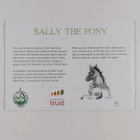 Jo Ivey : The story of sally the pony and how she lost he... - pikkukuva 2