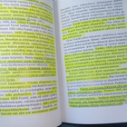 Graber : Viktor Franklin logoterapia  ( SIS POSTIKULU  ) - pikkukuva 2