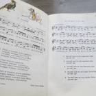 ERKKI POHJOLA: TEI MUSIIKKIIN MUSICA II 1975 - pikkukuva 3
