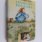 Laura Ingalls Wilder : Luumujen poukama - pikkukuva 1