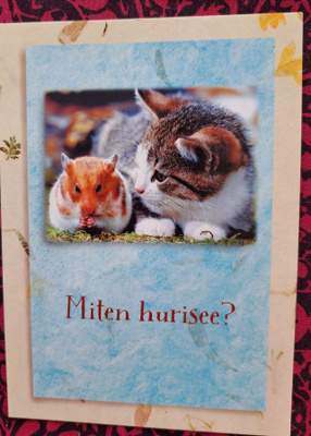 Kissa ja marsu, kulkenut 2003