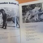 Snautseri - Pinseri 1991 36. Vuosikerta 2 - pikkukuva 3