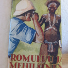 Edgar Wallace: Romuluu ja mehiläinen. G:rus -45. 219 s. - pikkukuva 1
