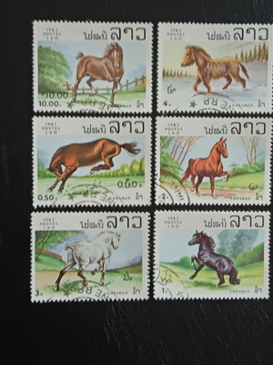 Laos Hevosia