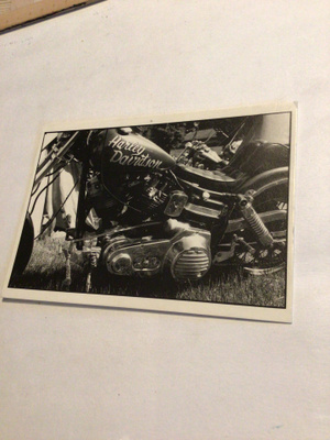 Harley Davidson