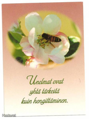Unelmat ovat....