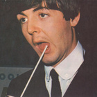 PAUL McCARTNEY / THE BYRDS - alkuperäinen fanikuva 60-luku - pikkukuva 1