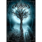 asgaard lux in tenebris live	(46 809)	k		DVD					105min - pikkukuva 1