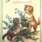 kortti Kissa - erilaisia SPR:n ehiökortteja - pikkukuva 5