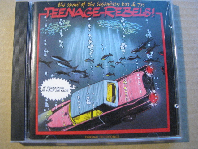 TEENAGE - REBELS / If Paradise Is Half As Nice