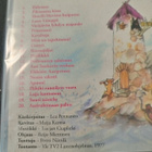 Piilomaan pikkuaasi - pikkukuva 2
