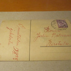 Kissa, vanha silmäkortti -1925 - pikkukuva 2