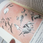 Lewis Carroll, Liisan seikkailut ihmemaassa (tove jansson ku - pikkukuva 3