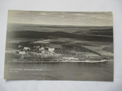 Rovaniemi Metsäkoulu Hirvas *