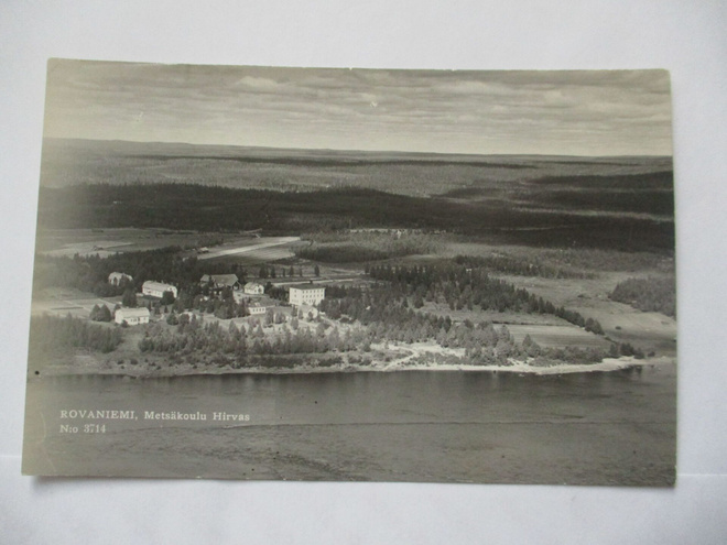 Rovaniemi Metsäkoulu Hirvas *