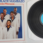 Ladysmith Black Mambazo : Umthombo Wamanzi lp - pikkukuva 1