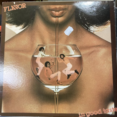 Flavor - In Good Taste LP