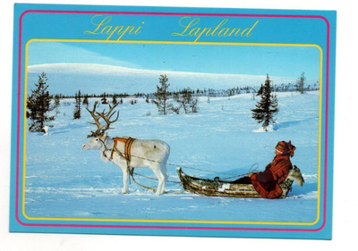 Lappi: poro ym