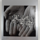 Alf Wannenburgh : Diamond People - pikkukuva 2