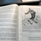Opas alppihiihdon harratajille - pikkukuva 2