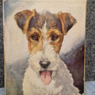 Karl Fazer Vintage Konvehtirasia . No:2457 Terrier - pikkukuva 1
