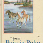 Chrisse Fagerström VARSAT POJU ja POKU lukematon - pikkukuva 1
