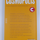 Elisa Juholin : Cosmopolis : yhteiskuntavastuusta yritysk... - pikkukuva 2