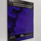 Business perspective : the IS view on delivering services... - pikkukuva 1