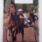 Villivarsa 10/98 - pikkukuva 2