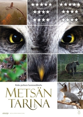 Metsän Tarina (DVD)