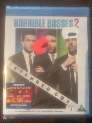 Horrible Bosses 2