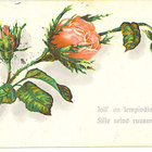 Ruusu ja värssy v.1910. Merkki pun.10pen - pikkukuva 2