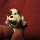 Kinder Dog Stories 2010 Bob Bull / Bulldoggi - pikkukuva 2