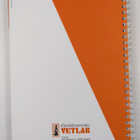 Laboratoriokäsikirja 2009 - pikkukuva 2