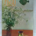 Kotiliesi No 13 heinäkuu 1966 - pikkukuva 1