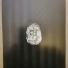 Serpico 4K, Limited edition steelbook - pikkukuva 2