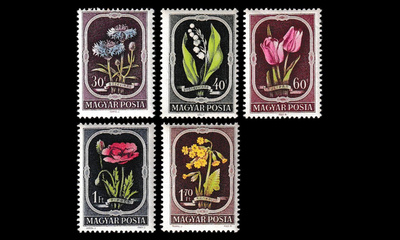 Unkari 1208-12 * Kukkia (1951)