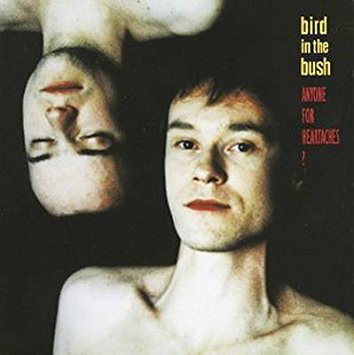 Bird In The Bush - Anyone For Heartaches? CD