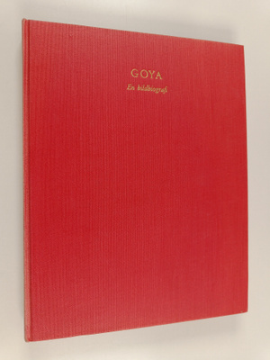 Vyvyan Holland : Goya : en bildbiografi