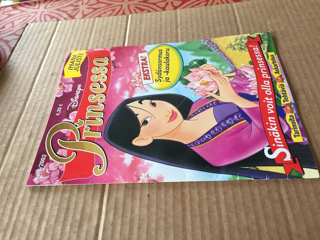 PRINSESSA LEHTI 6/2002 +juliste HYVÄ
