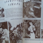 Suomen Kuvalehti No 34 1956 - pikkukuva 3