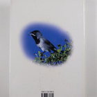 Hadoram Shirihai : Sylvia warblers : identification, taxo... - pikkukuva 2