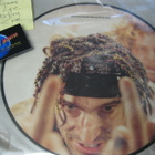 METHODS OF MAYHEM - GET NAKED 10'' SINGLE KUVALEVY - pikkukuva 1
