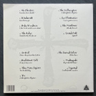 Scandinavian Friends A Tribute To Roky Erickson LP Vinyl - pikkukuva 2