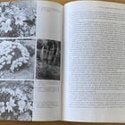 THE ROCK GARDEN, Graham Stuart Thomas - pikkukuva 5